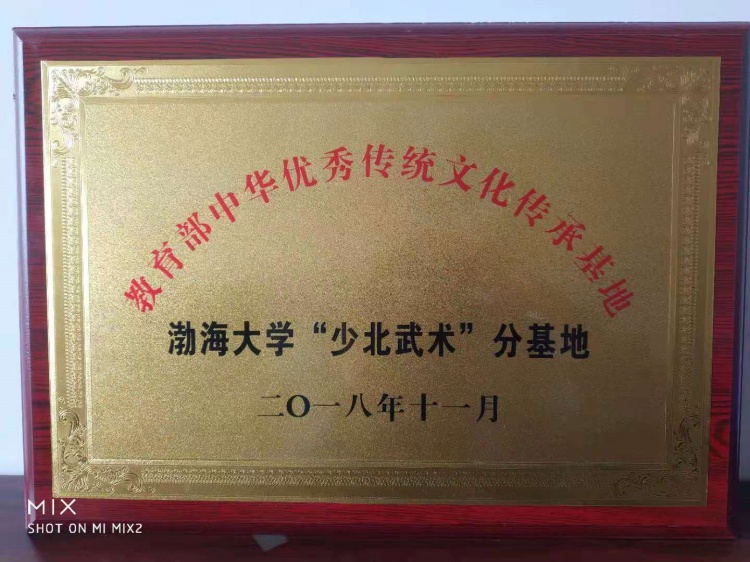 渤海大学（锦州师范学院）1988年级少北武术传人刘天辉简介(图4)